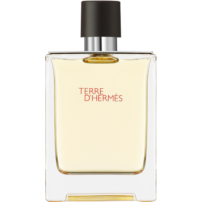 Hermès Terre d'Hermès EdT 100ml